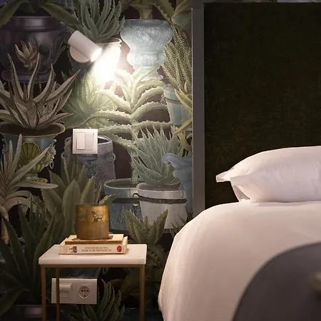 דירה Cactus Apartment, By Bolhao Residences *