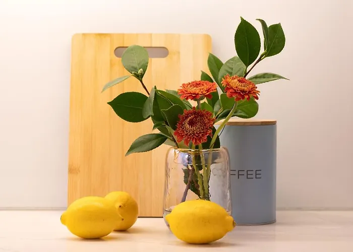 Cactus Apartment, By Bolhao Residences *