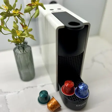 Appartamento Cactus Apartment, By Bolhao Residences