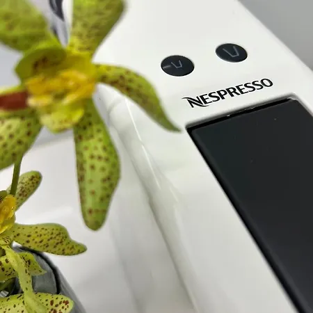 Cactus Apartment, By Bolhao Residences *