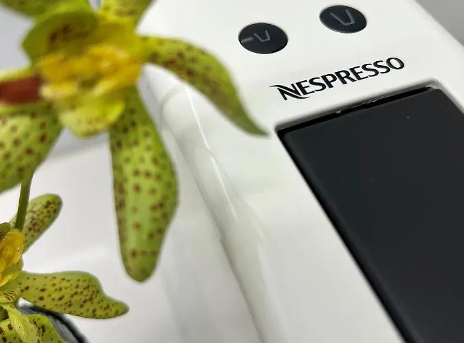 Cactus Apartment, By Bolhao Residences *